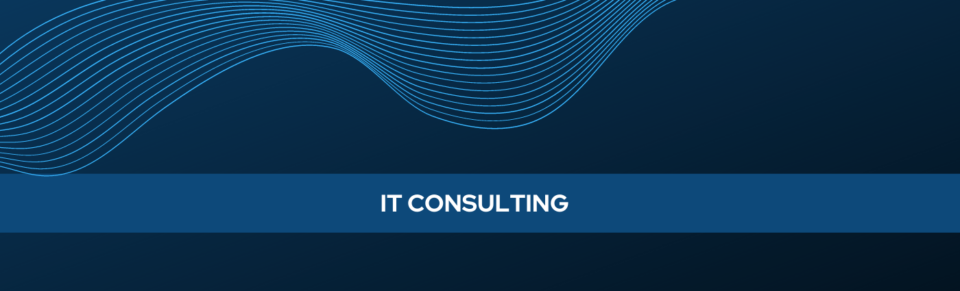 IT Consulting Services